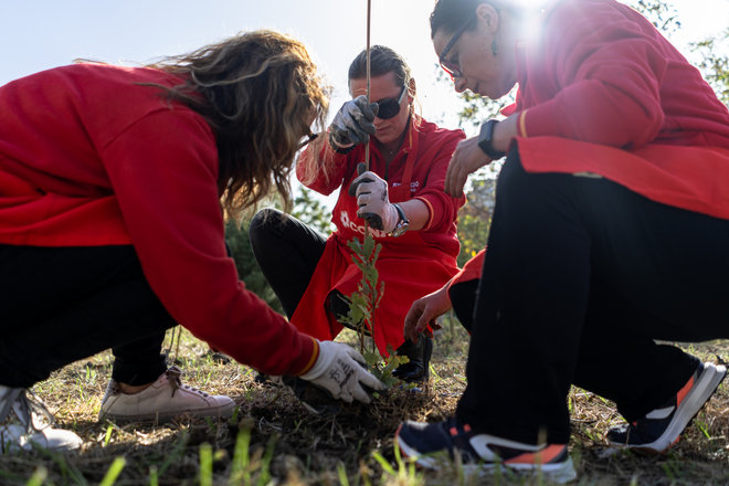 forestazione-20.jpg